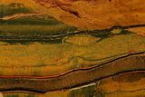 10.4" Marra Mamba Tiger's Eye Slab - Mt. Brockman (2.7 Billion Years) - #163127-1